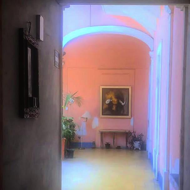 瓜达拉哈拉 Maska Mansion Gdl, Hosting And Yoga酒店 外观 照片